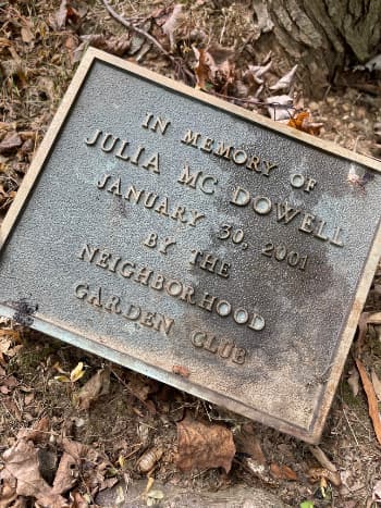 Julia Mc Dowell